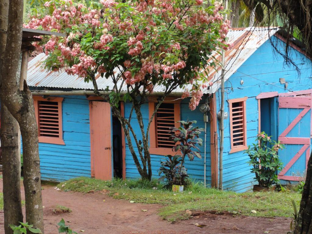 DSC01886 Local typical house